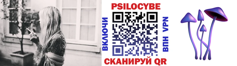 ОМГ ОМГ ссылка  Химки  Галлюциногенные грибы Magic Shrooms 